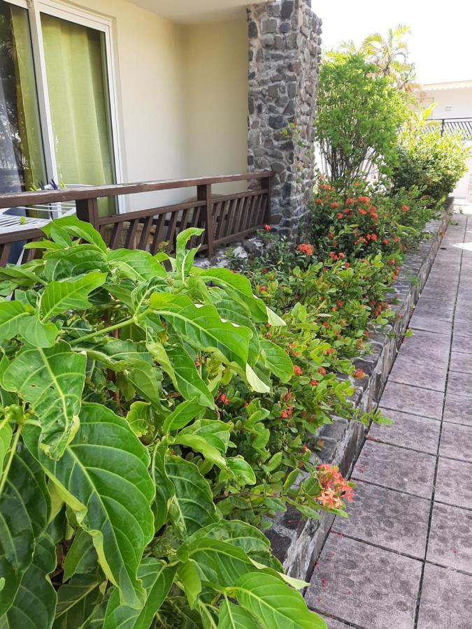 Apartament F3 _ Kaz Ananas Passion Au Manganao Saint-Francois  Zewnętrze zdjęcie